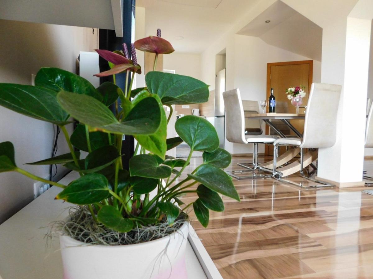 Apartman Lara Otocsán Kültér fotó